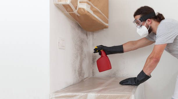 Professional Black Mold Removal technician working in McLean, TX