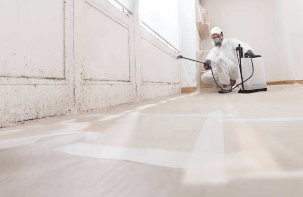 24/7 Emergency Black Mold Removal experts in McLean, TX